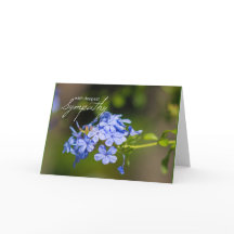 Compasión más profunda