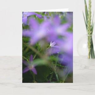 Tarjeta Compasión por la fotografía floral borrosa púrpura