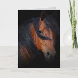 Tarjeta Compasión por la pérdida de caballo