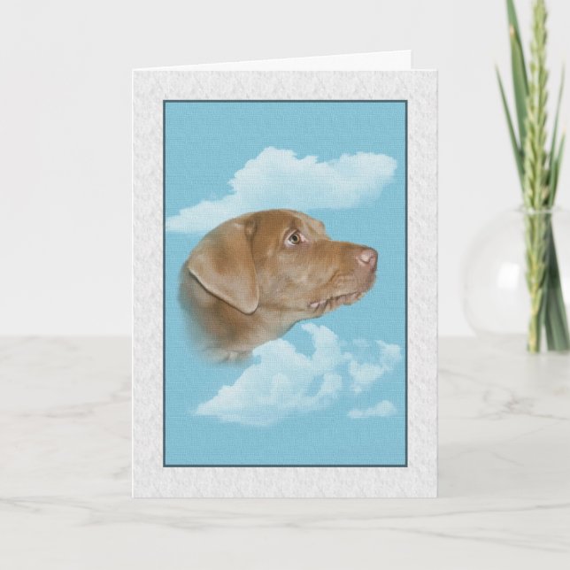 Tarjeta Compasión por la pérdida de Mascota (Anverso)