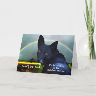 Tarjeta Compasión por la pérdida de mascota