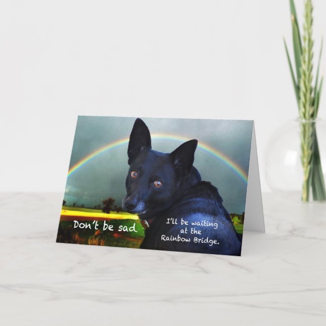 Tarjeta Compasión por la pérdida de mascota (Anverso)