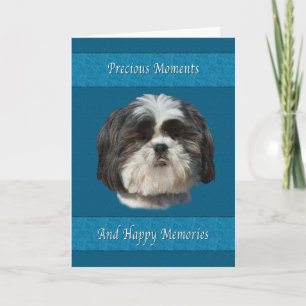 Tarjeta Compasión por la pérdida de Mascota, Perro Shih Tz