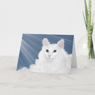 Tarjeta Compasión por la pérdida del gato mascota