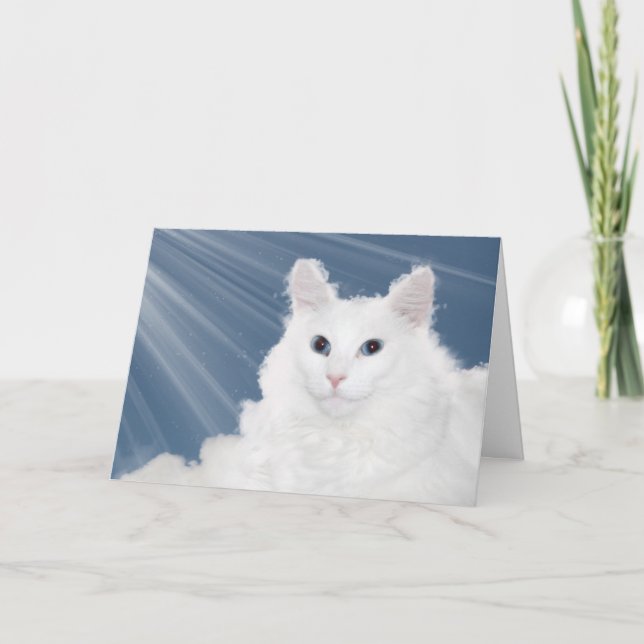 Tarjeta Compasión por la pérdida del gato mascota (Anverso)