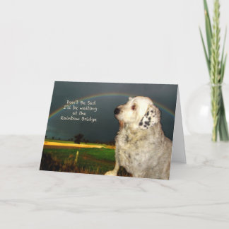 Tarjeta Compasión por la pérdida del perro mascota