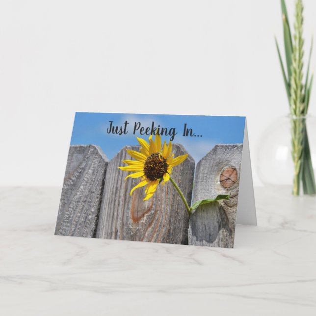 Tarjeta compatible con girasol a través de la vall (Anverso)