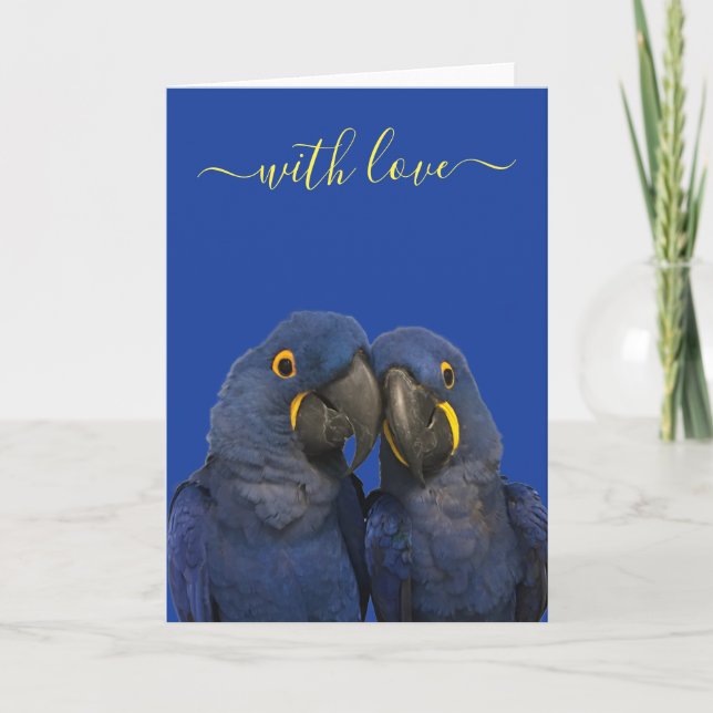 Tarjeta Con amor Hyacinin Macaw Parrot Bird Blue (Anverso)