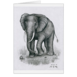 Tarjeta con el elefante de Vannak Anan Prum