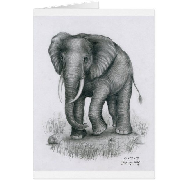 Tarjeta con el elefante de Vannak Anan Prum (Frente)