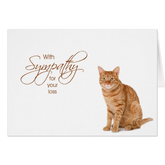 Tarjeta Con la condolencia - pérdida de gato
