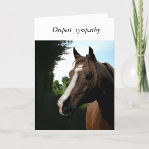 Tarjeta Con la condolencia (pérdida de un caballo)