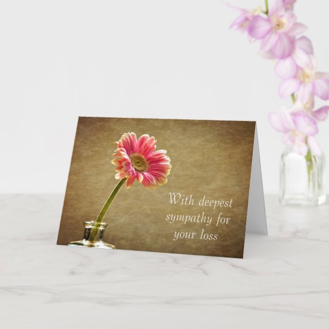 Tarjeta Con la más profunda simpatía - Pink Daisy (Orquídea)