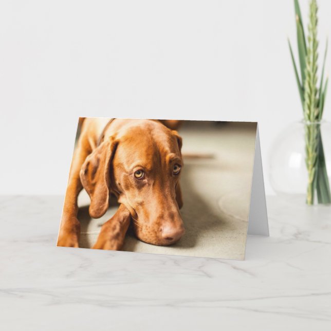 Tarjeta con motivo "Magyar Vizsla" (Anverso)