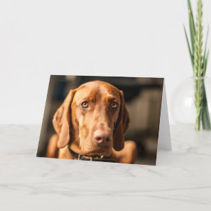 Tarjeta con móvil “Magyar Vizsla "