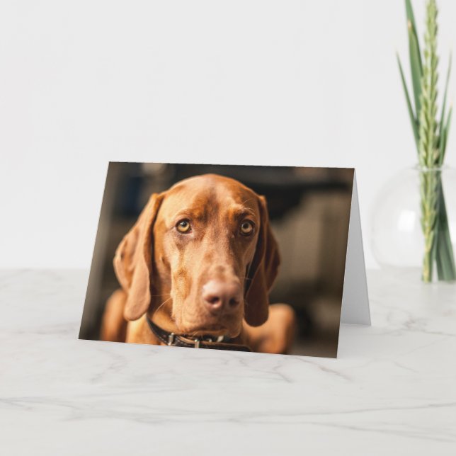 Tarjeta con móvil “Magyar Vizsla " (Anverso)