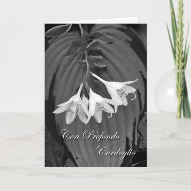 Tarjeta Con Profondo Cordolio, Sympathy in Italiano, Hosta (Anverso)