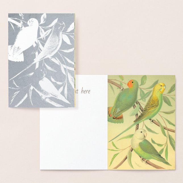 Tarjeta Con Relieve Metalizado aves amorosas y paracaídas -plata (Demostración)