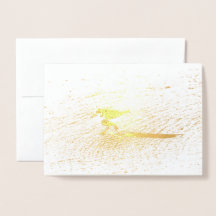 Lovely Lesser Sandplover