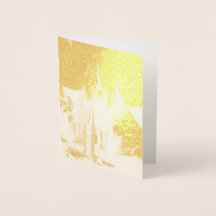 Perros celebrando Año Nuevo