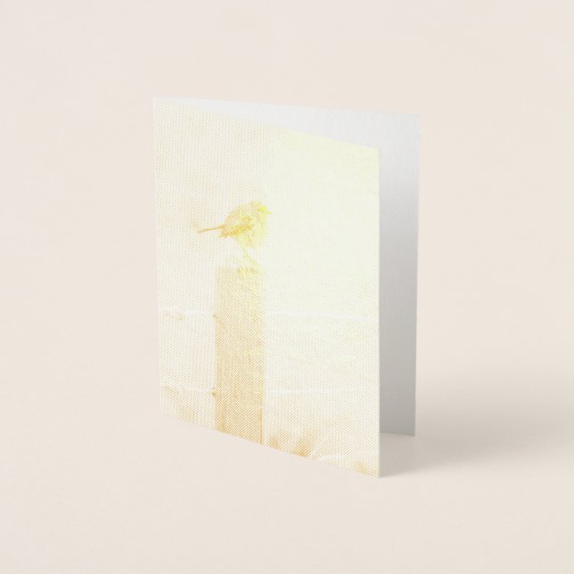 Tarjeta Con Relieve Metalizado Robin Redmama (Anverso)