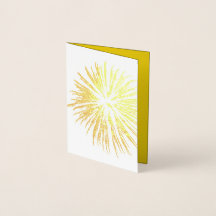 Silueta de fuegos artificiales monocromo