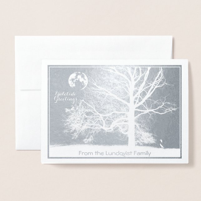 Tarjeta Con Relieve Metalizado Solsticio de invierno: Prospecto parque de vacacio (Anverso con sobre)