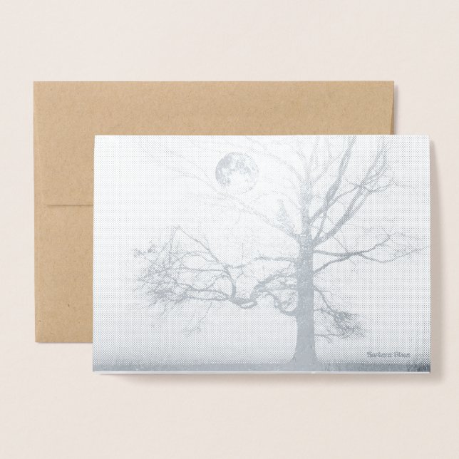 Tarjeta Con Relieve Metalizado Solsticio de invierno: Prospecto parque de vacacio (Anverso con sobre)