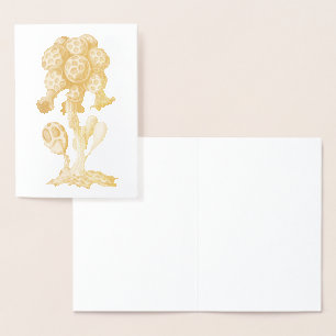 Tarjeta Con Relieve Metalizado Vintage Haeckel
