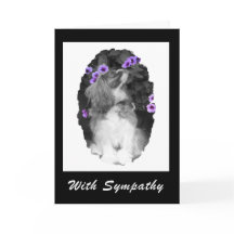Con simpatía Cavalier King Charles Card