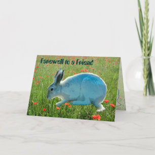 Tarjeta Con simpatía (pérdida de un conejo)