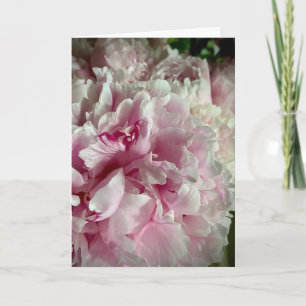 Tarjeta Con Sincerísimo Pesar con Peonías Blancas y Rosas