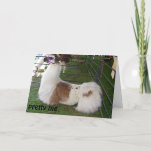 TARJETA CONCEITO LLAMA BIRTHDAY WISHES
