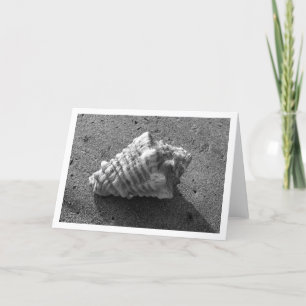 Tarjeta Conch Shell (blanco y negro)