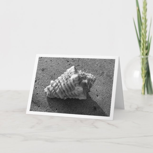 Tarjeta Conch Shell (blanco y negro) (Anverso)