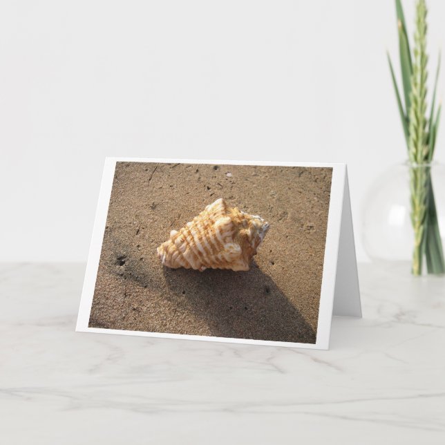 Tarjeta Conch Shell (color) (Anverso)