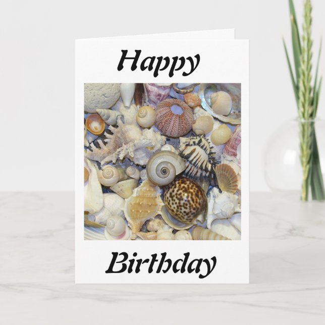 Tarjeta conchas (Anverso)