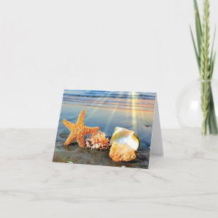 Tarjeta conchas de mar y estrellas de mar en la playa