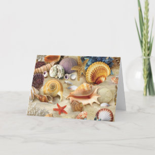 Tarjeta conchas marinas en la playa