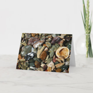 Tarjeta conchas, rocas y fotografía de la naturaleza coral