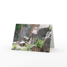 Condolencia: Árbol negro del barranco