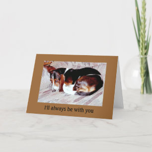 Tarjeta Condolencia de la pérdida del mascota: Pérdida de