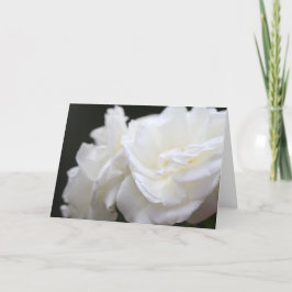 Tarjeta Condolencia de los rosas del iceberg