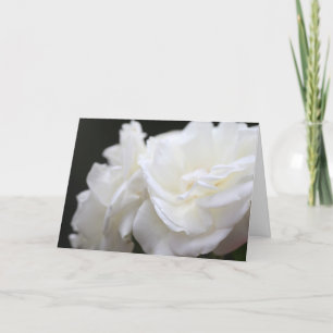 Tarjeta Condolencia de los rosas del iceberg