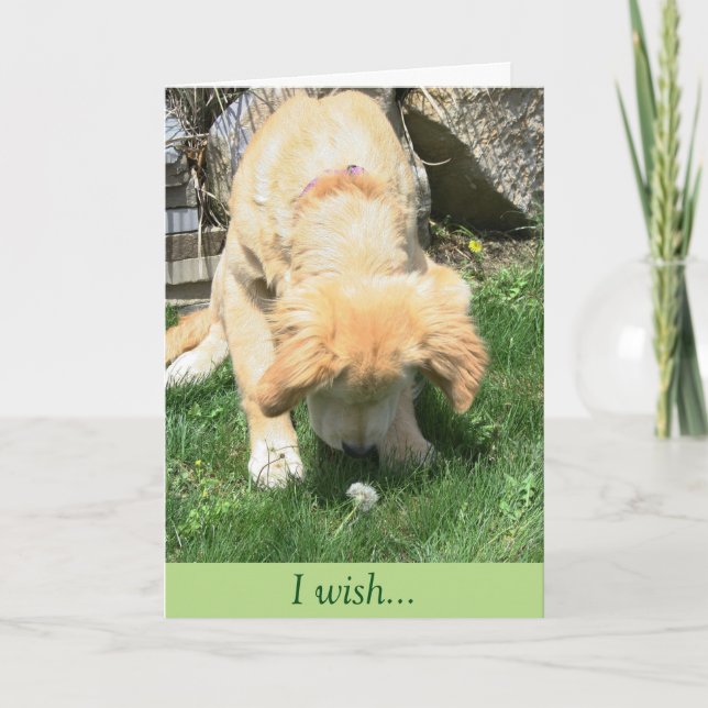 Tarjeta Condolencia de oro del deseo del diente de león (Anverso)