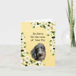 Tarjeta Condolencia del escocés Deerhound y del Dogwood