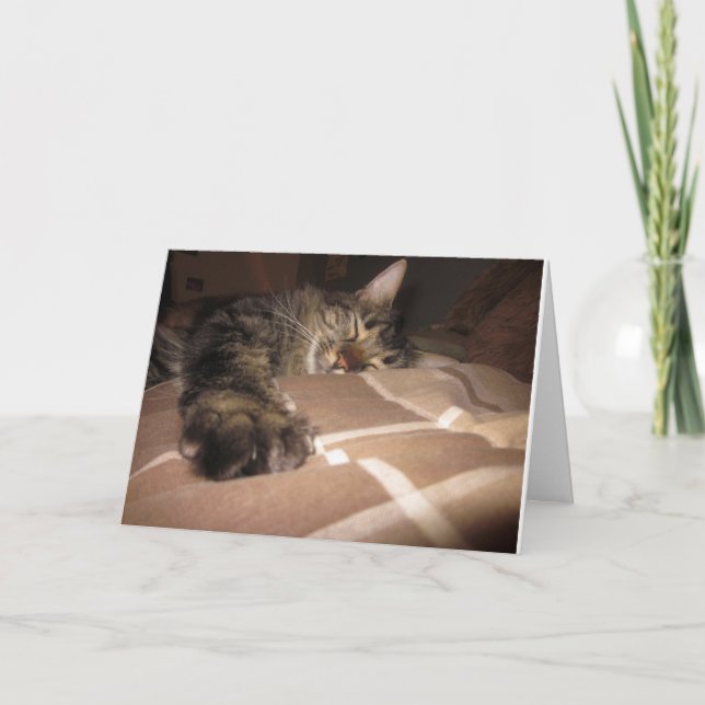 Tarjeta Condolencia - gato (Anverso)