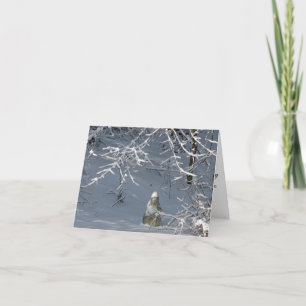 Tarjeta Condolencia - invierno Madonna