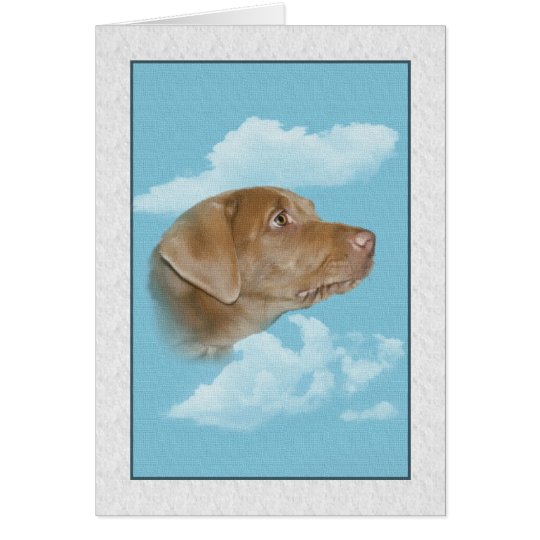 Tarjeta Condolencia para la pérdida de mascota