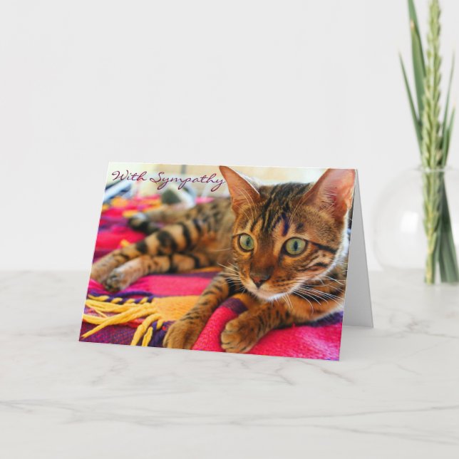Tarjeta Condolencias con el gato hermoso de Bengala de la (Anverso)